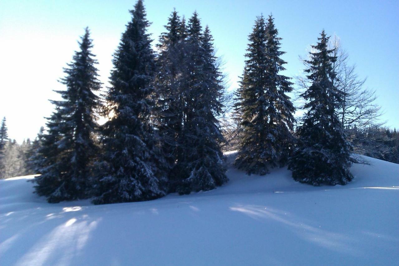 Chalet Daria Prémanon Kültér fotó
