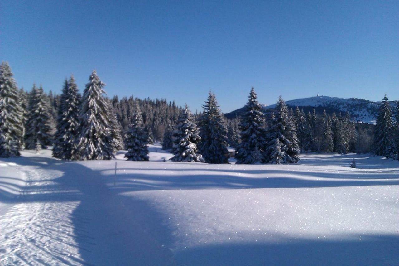 Chalet Daria Prémanon Kültér fotó