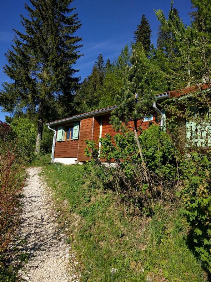 Chalet Daria Prémanon Kültér fotó