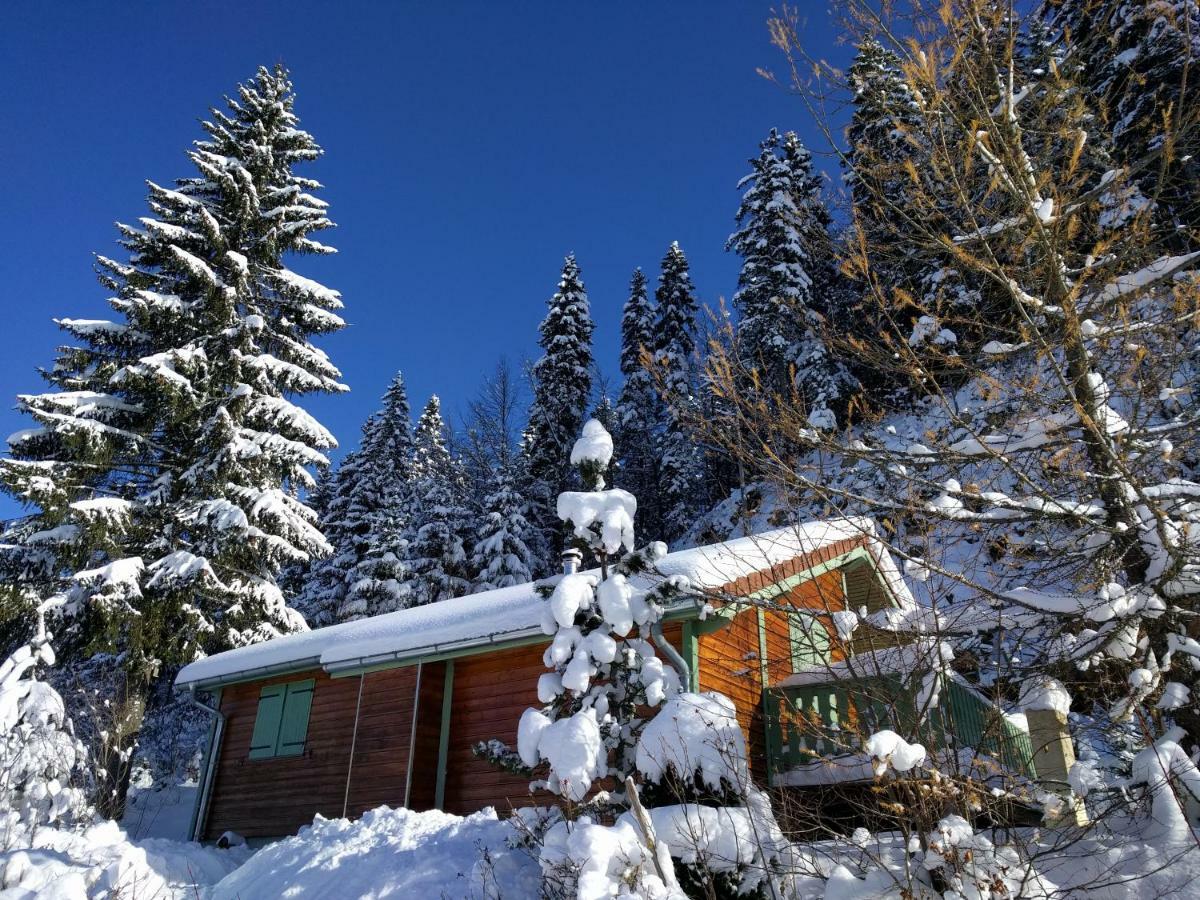 Chalet Daria Prémanon Kültér fotó